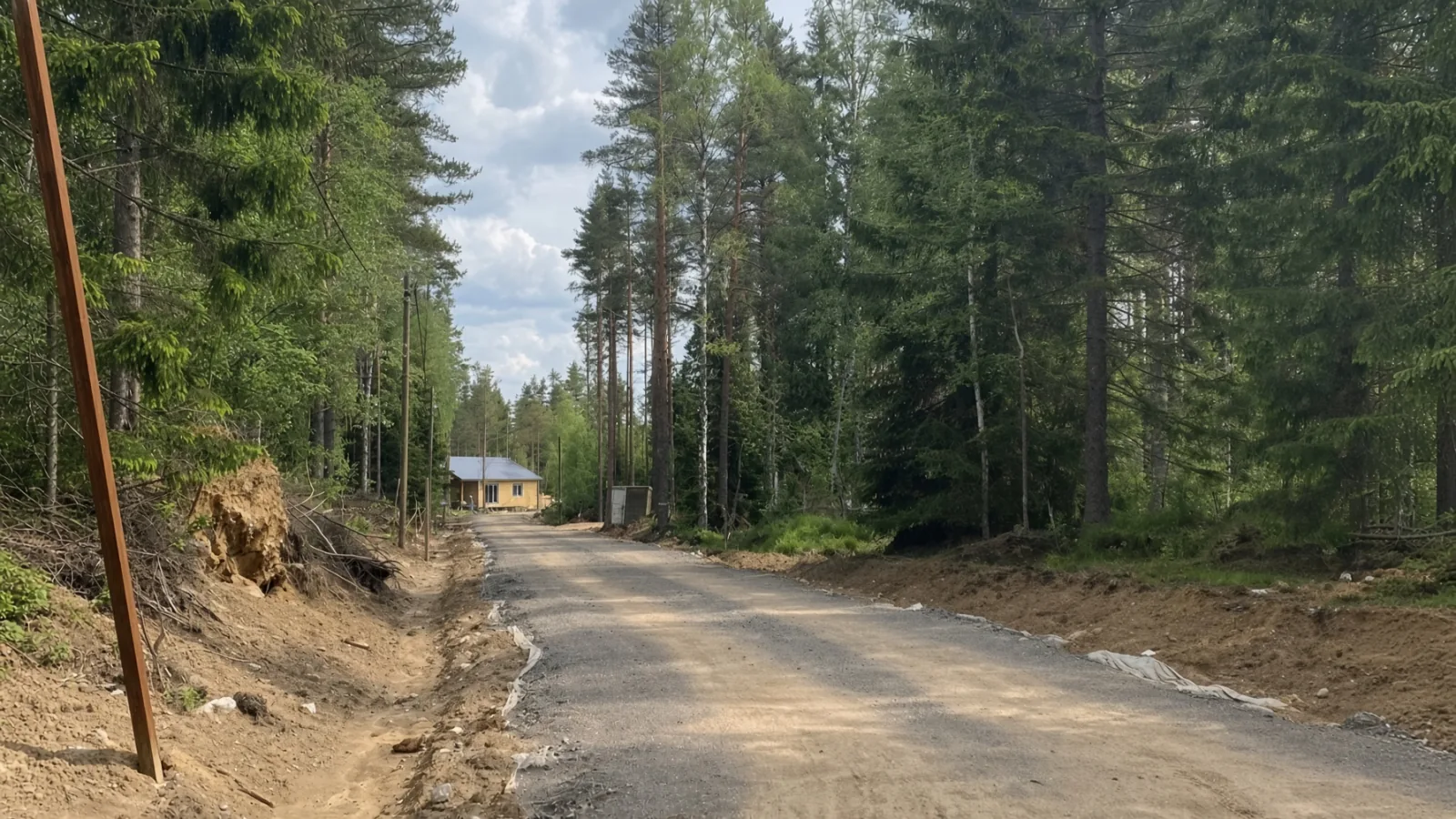 Дорога в лесу